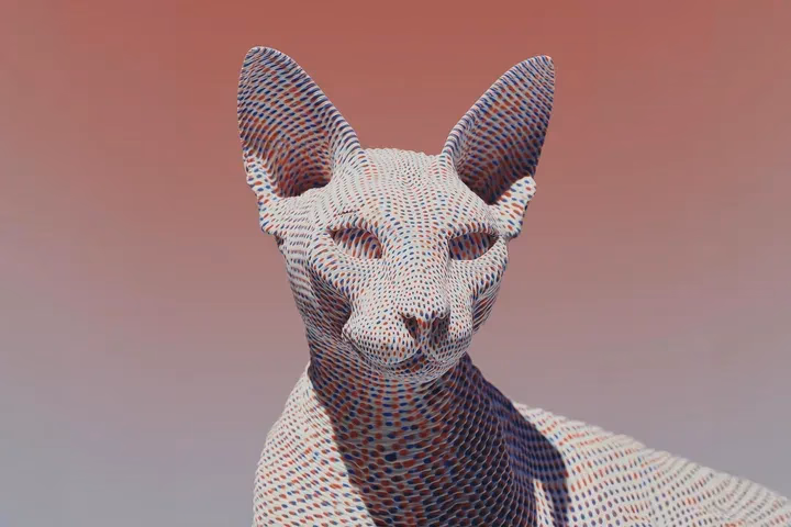 cybertobo