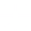 cybertobo