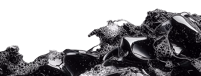 cybertobo